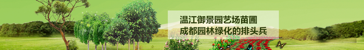 標(biāo)語(yǔ)文字